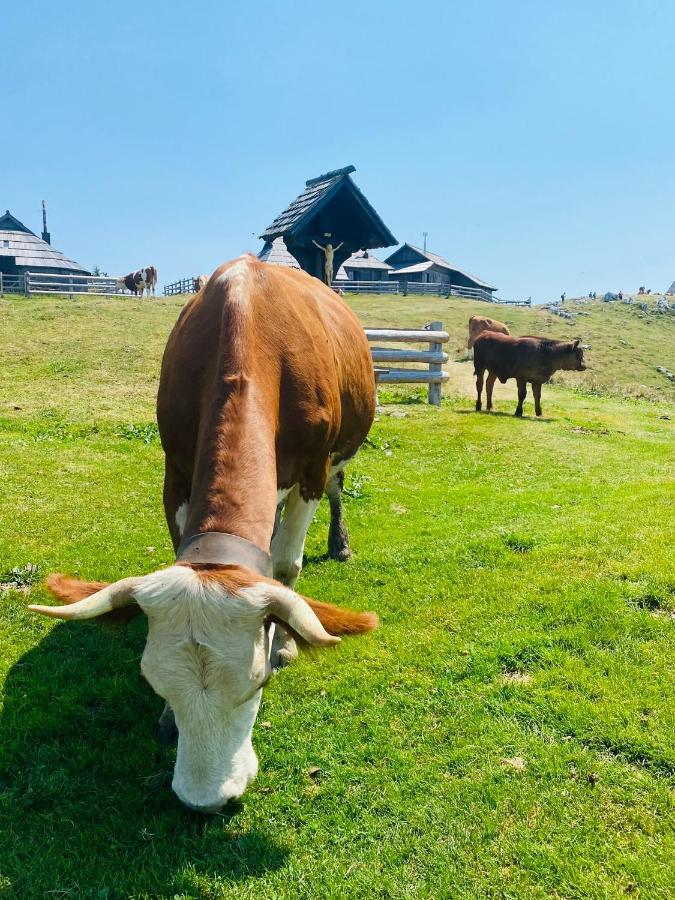 Velika Planina Koca Kekec Villa Stahovica ภายนอก รูปภาพ