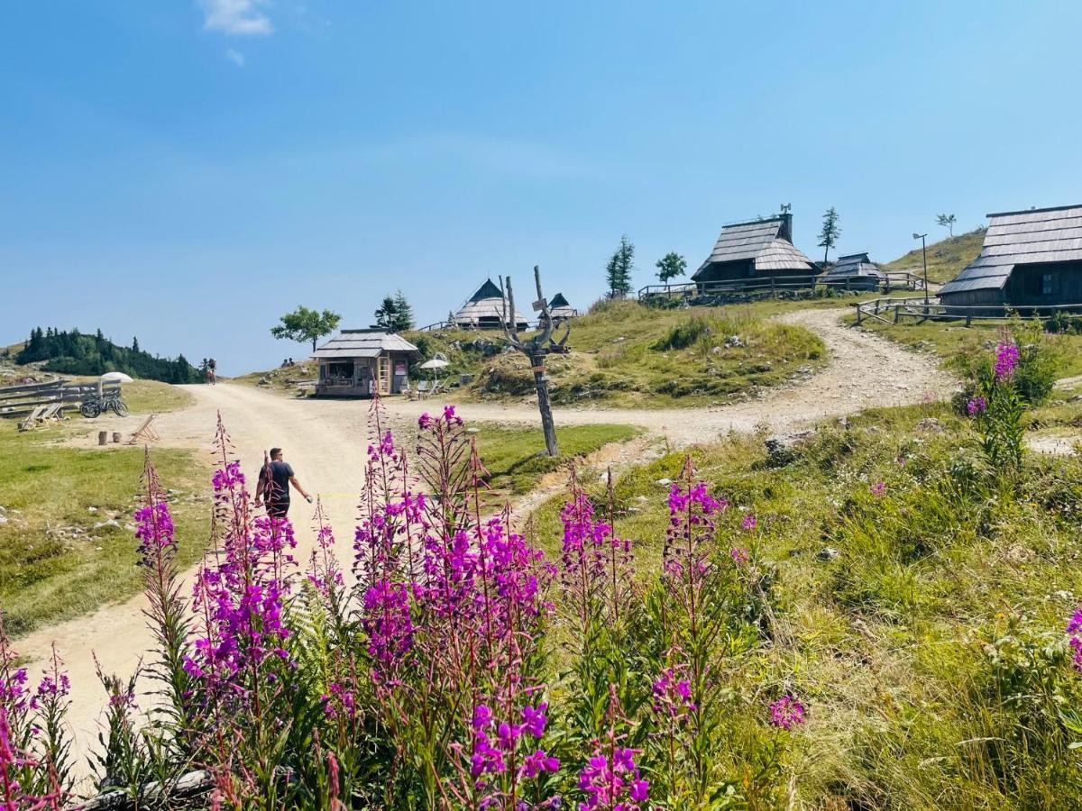 Velika Planina Koca Kekec Villa Stahovica ภายนอก รูปภาพ