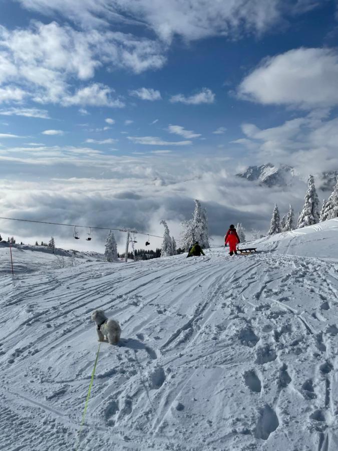 Velika Planina Koca Kekec Villa Stahovica ภายนอก รูปภาพ